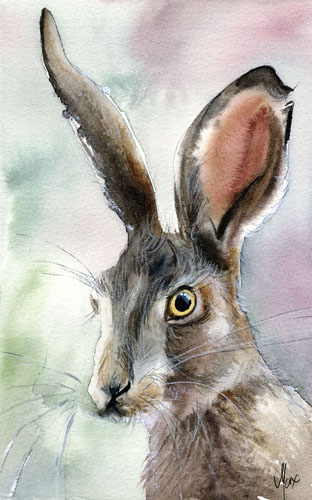 Hare