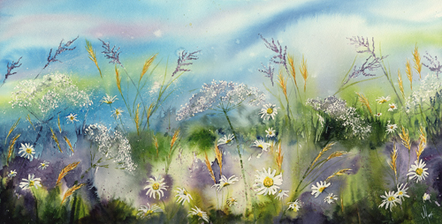 Summer Meadow 