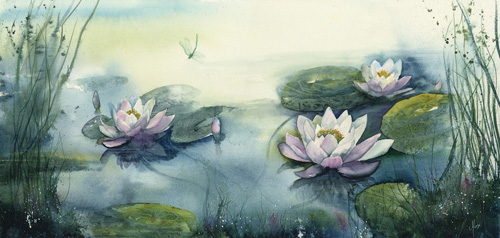 Waterlilies