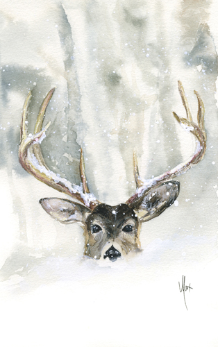 Stag