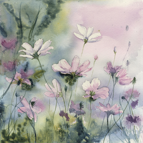 Cosmos