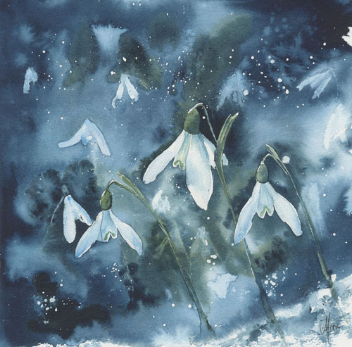 Snowdrops
