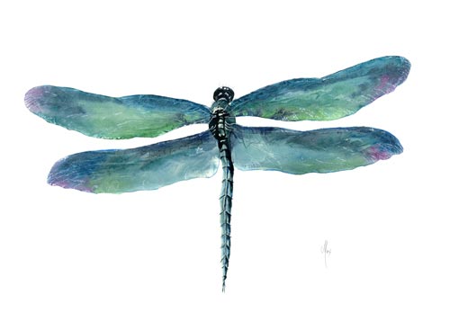 Blue Dragonfly
