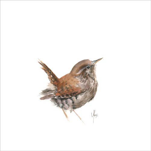Wren