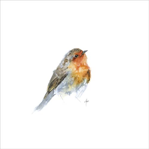 Robin