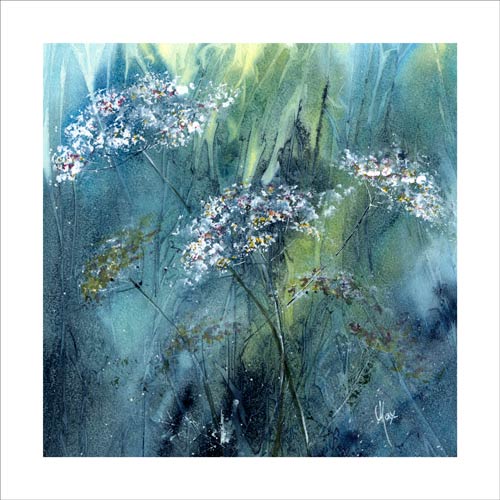 Cow Parsley