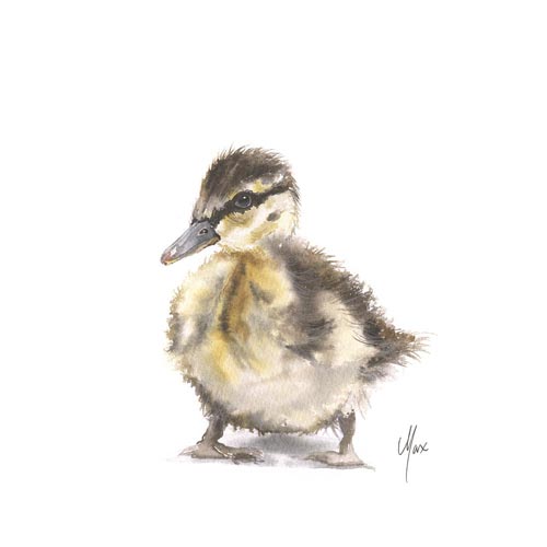 Duckling