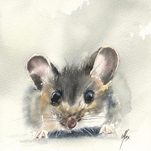 Mouse